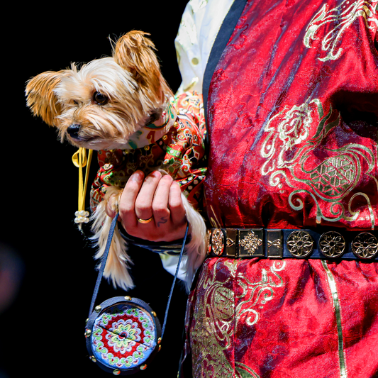 Handwoven Shu Brocade Pet Hanfu – Bespoke Dog & Cat Couture