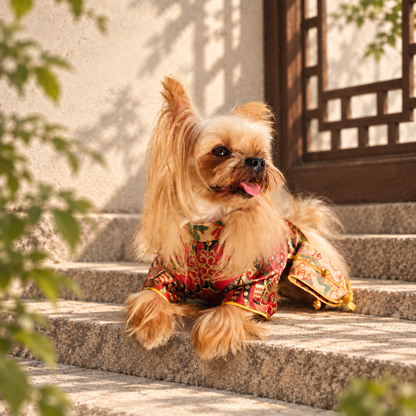 Handwoven Shu Brocade Pet Hanfu – Bespoke Dog & Cat Couture